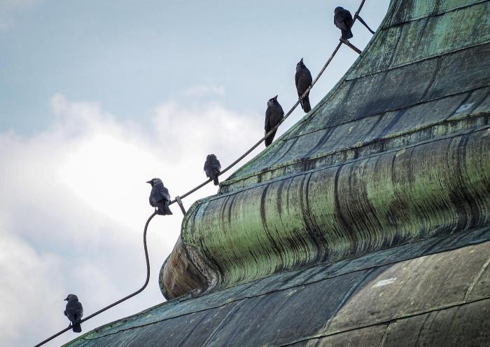 Bild: Stefan Schädel Bild: Stefan Schädel