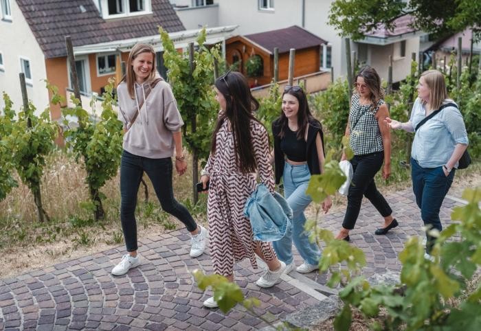 Eine Gruppe ist unterwegs durch die Weinreben zwischen Mostgässle und Fruchtkasten