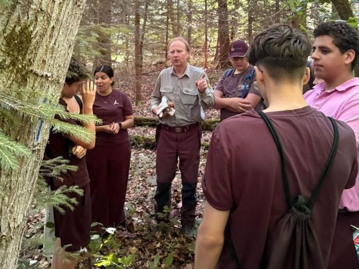 Jugendliche stehen im Wald
