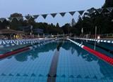 Int. Nessenreben-Schwimmtag 2026