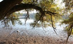 Blick auf das klare Wasser der Rösslerweihers. Oben ragt ein großer Ast ins Bild.